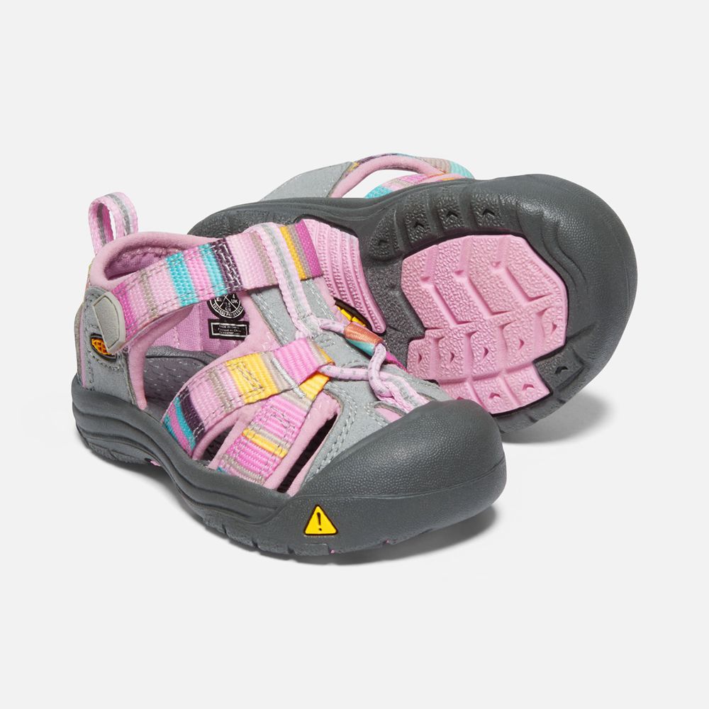 Sandalias Keen Mexico Rosas/Grises - Niños Venice H2 - PU0149657